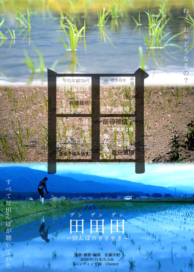 映画チラシ
