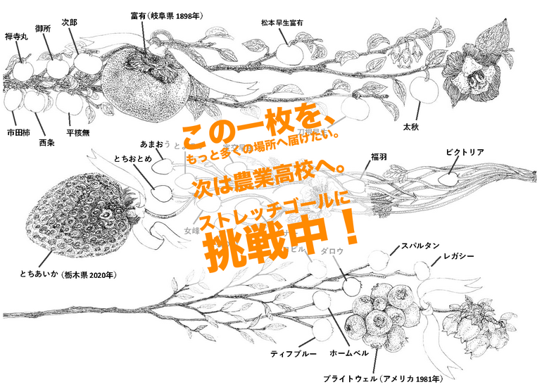 誰も見たことのない、1億4000万年の進化を一枚の絵に。 「くだもの進化アートマップ」制作プロジェクト