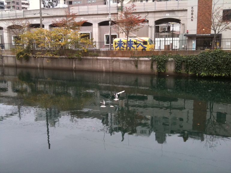 黄金町の風景（2011）