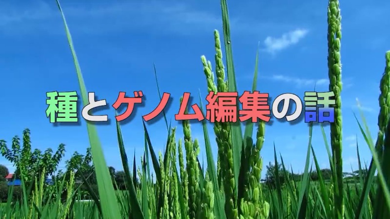 「種とゲノム編集の話―part1」タイトル画面
