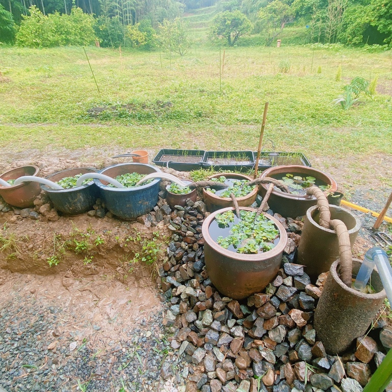 水の循環システム