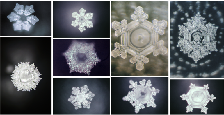 水の結晶写真